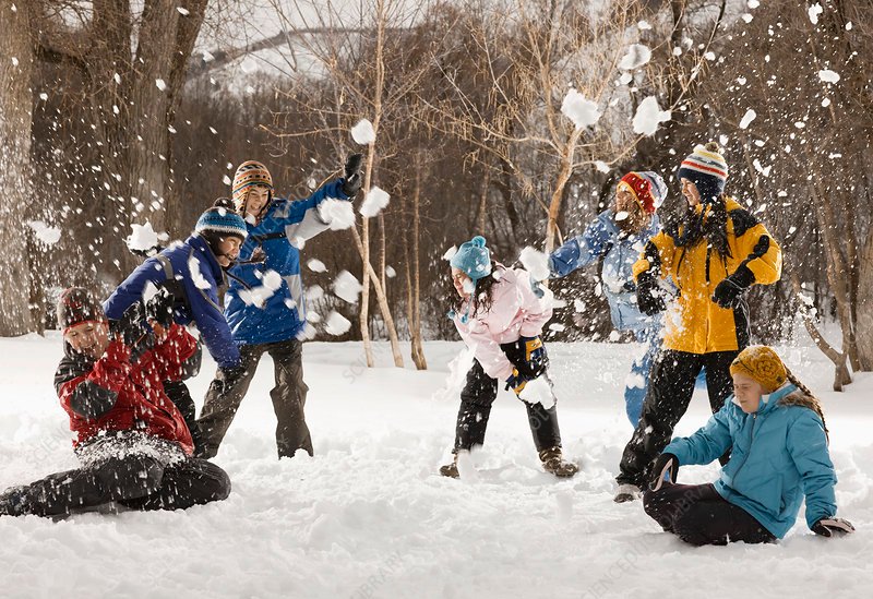 Snow Fights